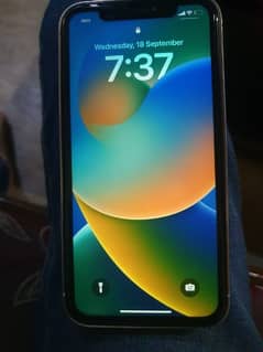 iphone xr covert into 13 pro