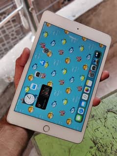 Ipad Mini 5 64gb wifi I pad mini 5 Apple read ad