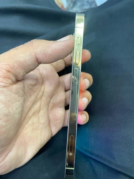 iphone 12 pro golden colour pta approved 2