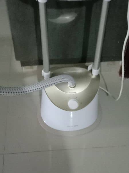 Steam iron 1