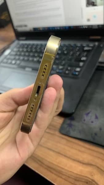 Iphone 13 Pro Max Gold 6