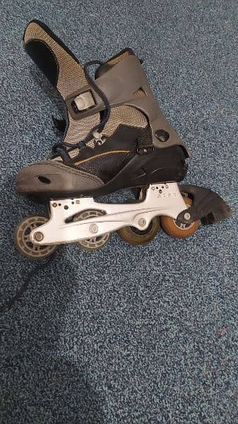 original Aluminum skating shoes Adjustable 1