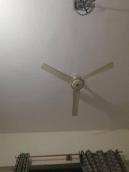 fan urgent sell 1