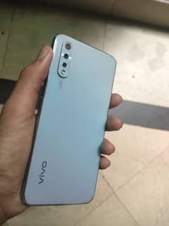 vivo