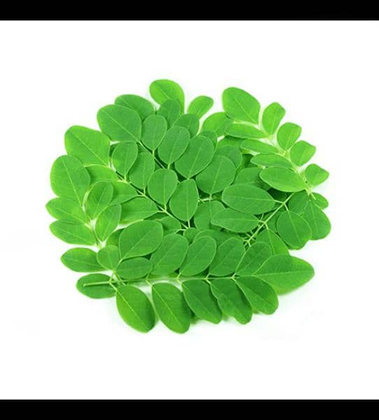 Moringa leaves and seeds 1