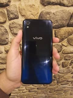 vivo