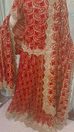 red and botel green sharara bridal wear