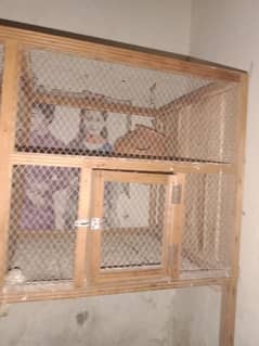 1 pair for bajri parrot and beautiful cage only 11000 0