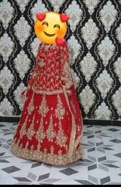 bridle lehnga