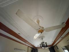 Ceiling Fans For Sale