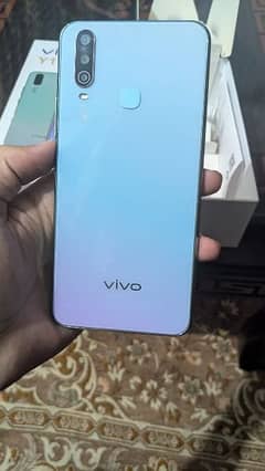 Vivo