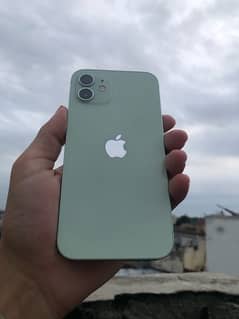 IPhone 12 Green jv