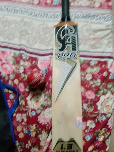 CA PRO 1.3 HARD BALL BAT WITH ONE NEW HARD BALL 1