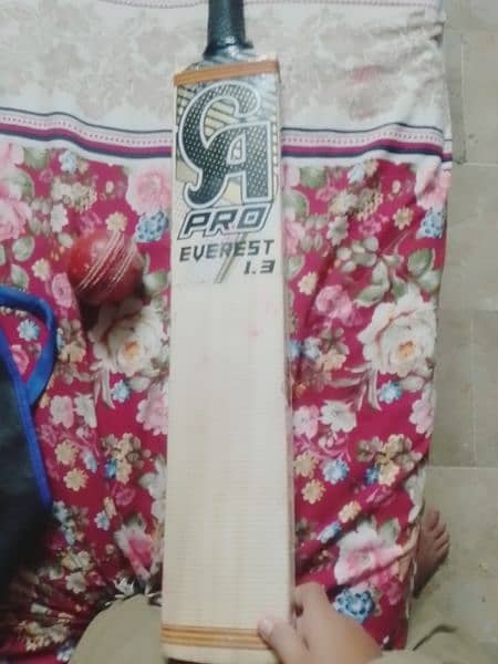 CA PRO 1.3 HARD BALL BAT WITH ONE NEW HARD BALL 3