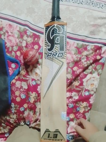 CA PRO 1.3 HARD BALL BAT WITH ONE NEW HARD BALL 5