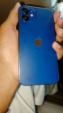 iPhone 12 - Excellent Condition - 64GB- (kotmomin) 0