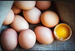 Desi Eggs (anda) Golden Misri Fertile Eggs Pure