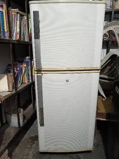 fridge medium size 100% ok genion