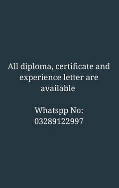 All diploma certificate experience letter are available