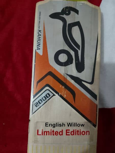 English willo bat 4