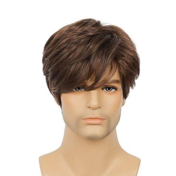 men wig 5