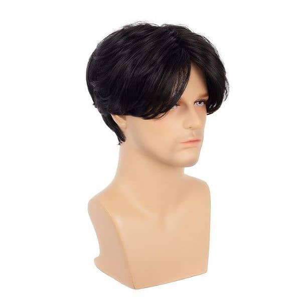 men wig 6