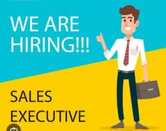 Sales Executive for School