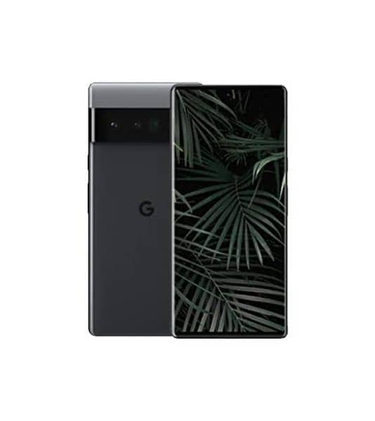 Google pixel 6.03154024344 0