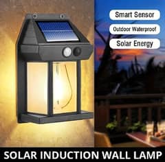 SOLAR INDUCTION  WALL LAMP