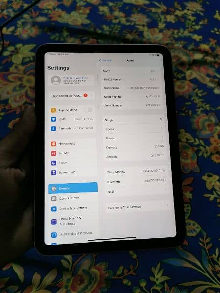 ipad mini 6 256gb 2