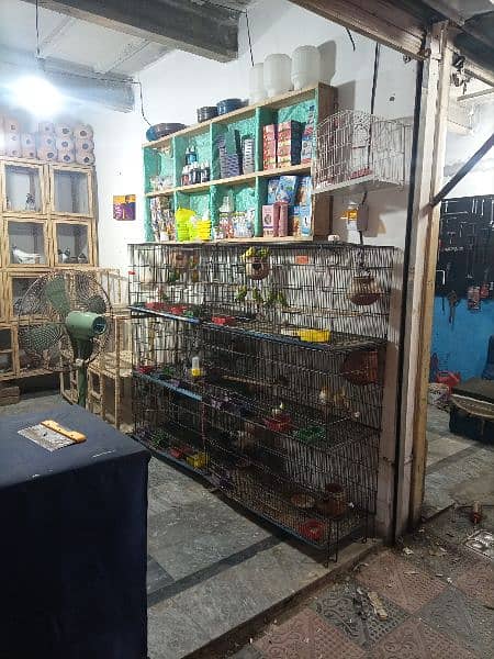 pet shop for sale 0