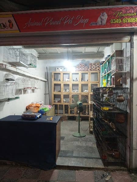 pet shop for sale 5