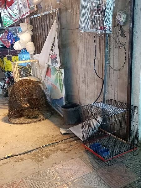 pet shop for sale 6