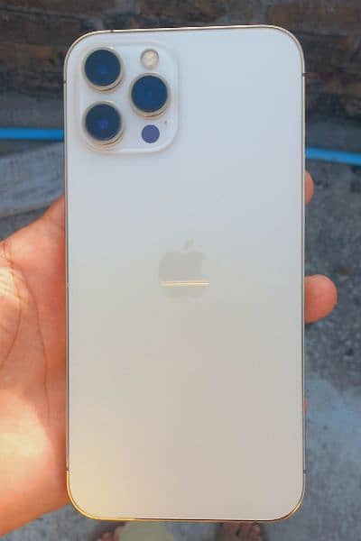 I phone 12pro max 256 gb coler white gold 0