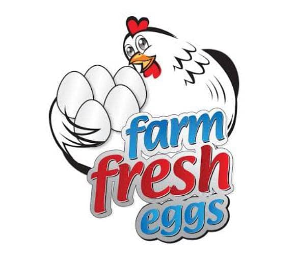 Fresh Farm eggs (Farmi Eggs) 0