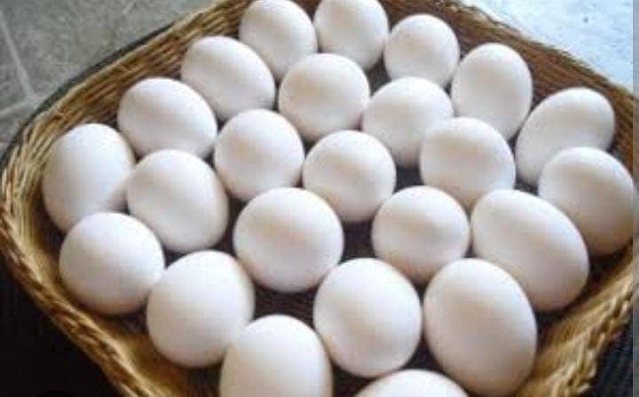 Fresh Farm eggs (Farmi Eggs) 1