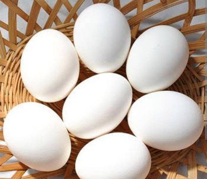 Fresh Farm eggs (Farmi Eggs) 3