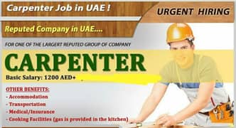 Dubai Mein Furniture ki Company ko Carpenter ki zarort ha