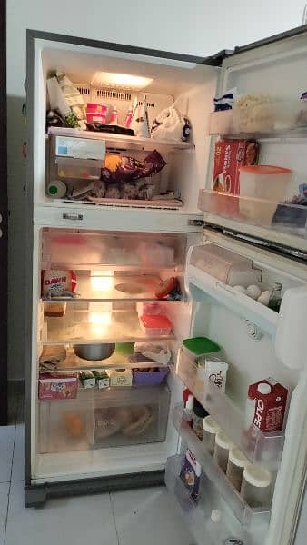 LG Refrigerator & Haier Deep Freezer 1