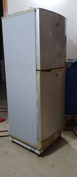 Pel Refrigerator Urgent Sale 3