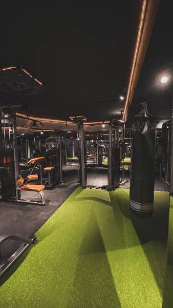 STEALTH FITNESS (GYM) 4