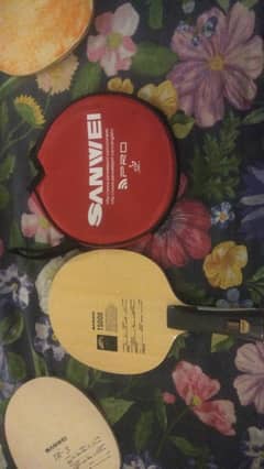 Table Tennis SANWEI T5000 CARBON Racket