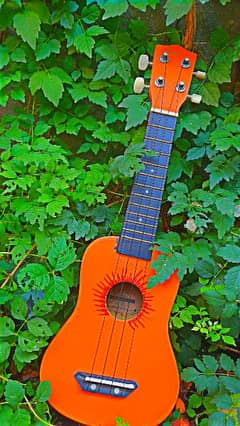 Ukulele Irin Original Wood Soprano Professional