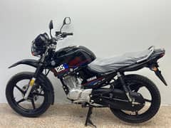 YAMAHA