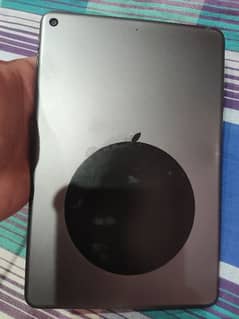 ipad mini 5