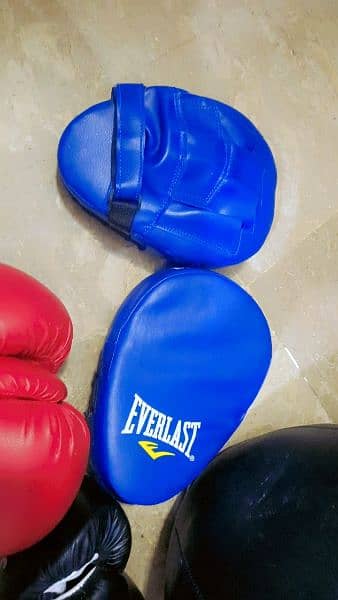 punching bags gloves and halmet 1