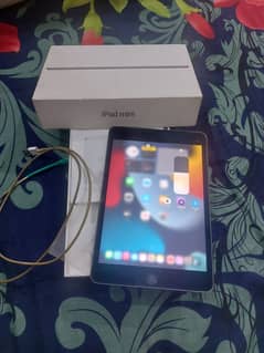 Ipad mini 5 (10/10) ios 15.6 64gb