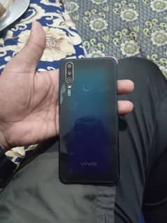 vivo