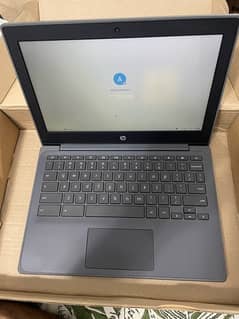 HP cromebook