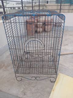 cage for sale